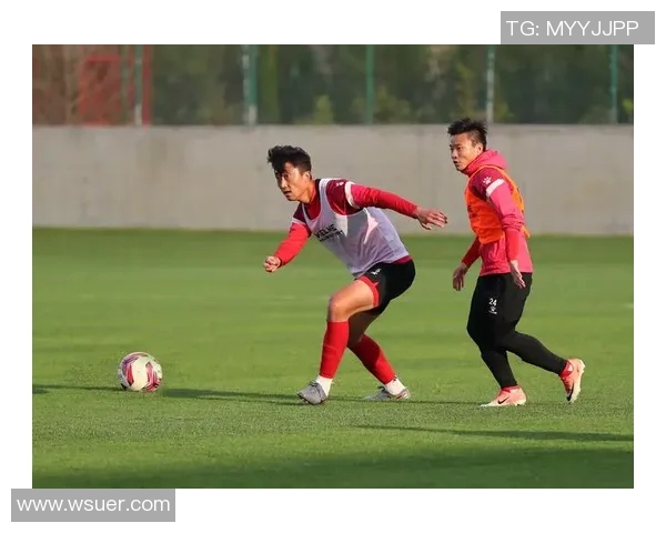 上海排球队的技术揭秘：从战术到训练的全面分析与探讨