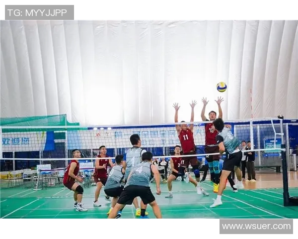 杭州排球队迎来速度革命引发热议与关注