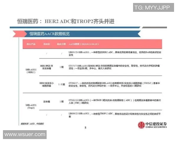 成都排球队技术分析与战术创新的深度探讨与展望 成都排球队技术分析与战术创新的深度探讨与展望