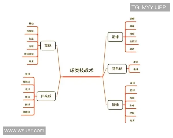 深圳排球队整体压制战术解析及其对排球赛场的影响分析
