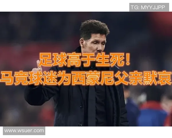 美国足球明星突然逝世震惊球迷与体育界的悲痛消息 美国足球明星突然逝世震惊球迷与体育界的悲痛消息