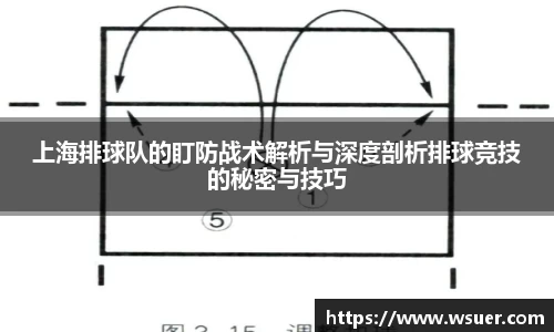 上海排球队的盯防战术解析与深度剖析排球竞技的秘密与技巧