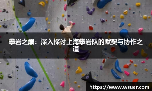 攀岩之巅：深入探讨上海攀岩队的默契与协作之道