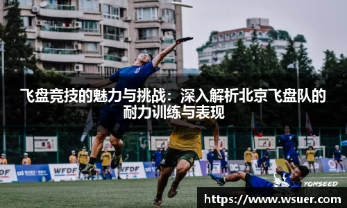 飞盘竞技的魅力与挑战：深入解析北京飞盘队的耐力训练与表现
